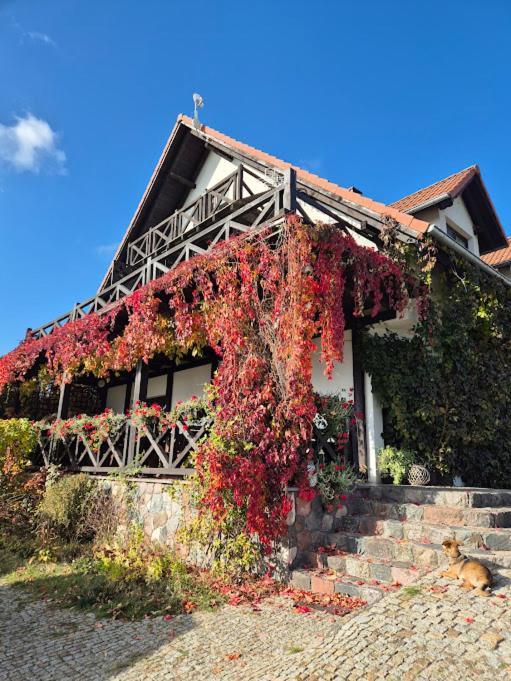 Pensjonat Rybaczówka Bogaczewo  Exterior foto